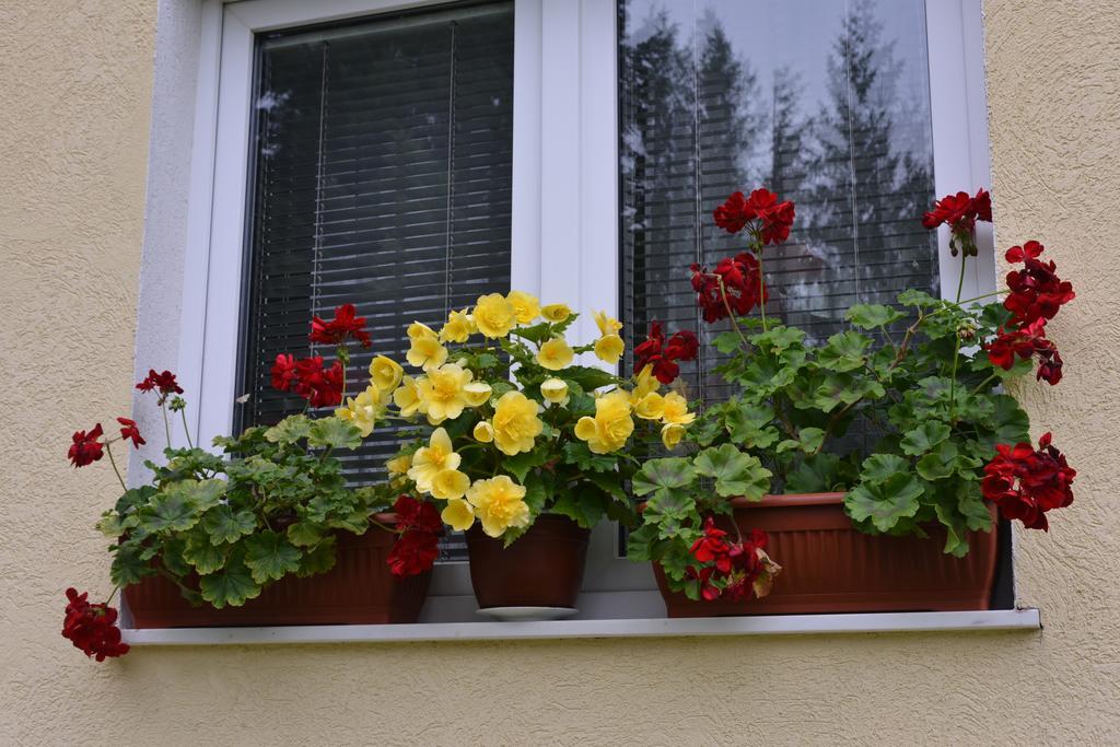 Dobrila Apartments Zlatibor Exteriér fotografie