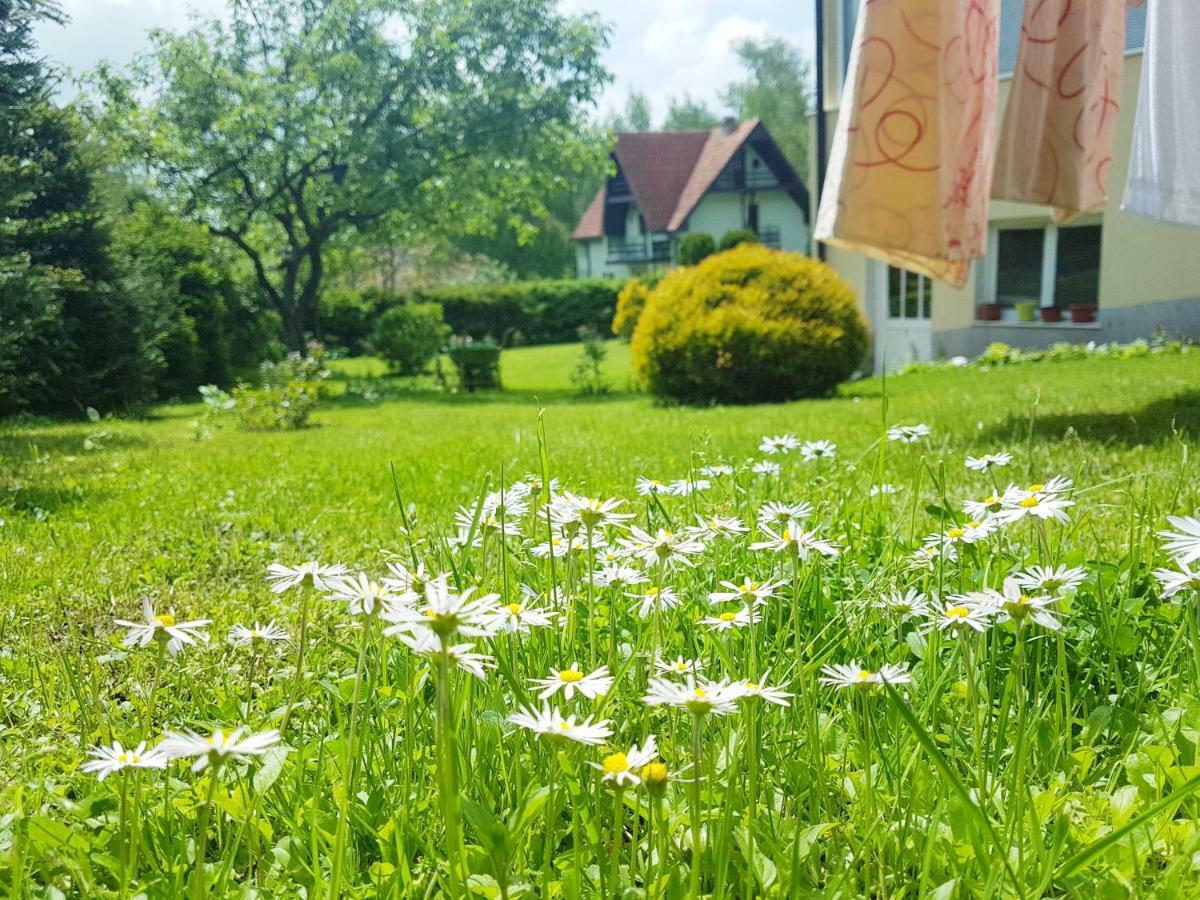 Dobrila Apartments Zlatibor Exteriér fotografie